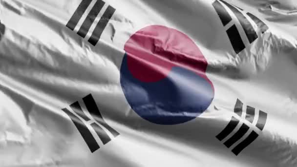 Güney Kore Bayrağı Rüzgâr Çemberinde Dalgalanıyor Güney Kore Bayrağı Rüzgarda — Stok video