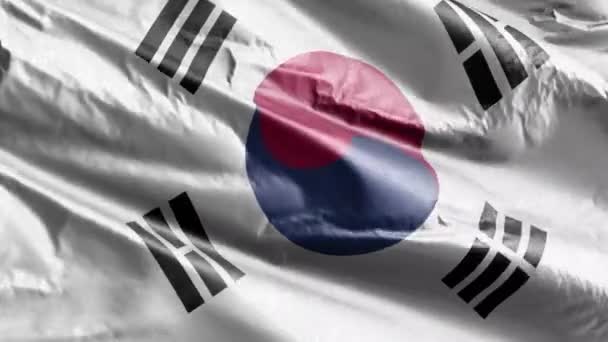 Güney Kore Tekstil Bayrağı Rüzgarda Sallanıyor Güney Kore Bayrağı Rüzgarda — Stok video