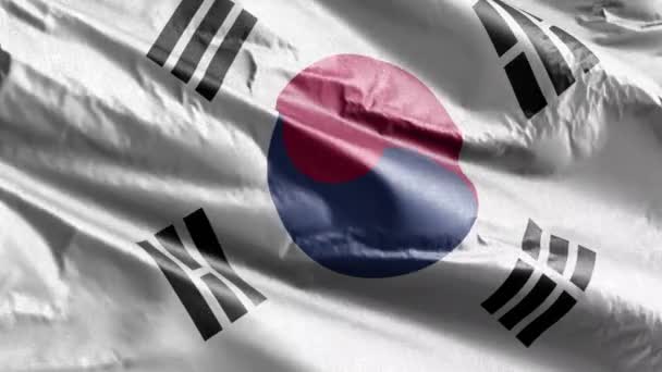 Bandera Textil Corea Del Sur Ondeando Lentamente Bucle Del Viento — Vídeo de stock