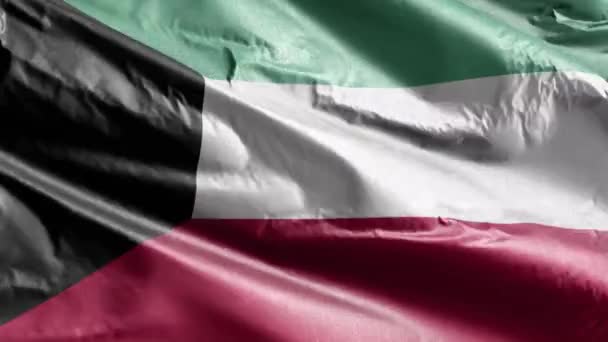 Kuwait Textile Flag Waving Wind Loop Kuwaiti Banner Swaying Breeze — Stock Video