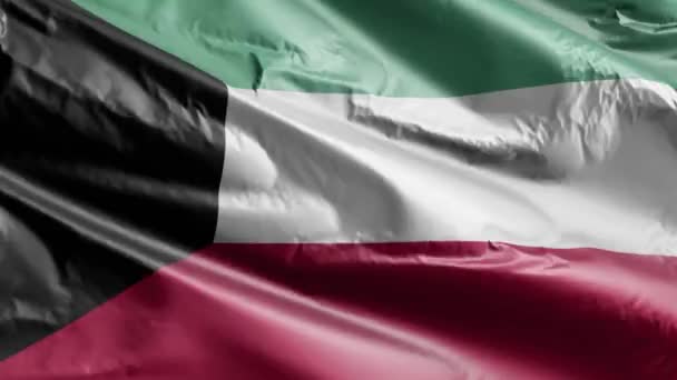 Rüzgarda Dalgalanan Kuveyt Bayrağı Kuveyt Bayrağı Rüzgarda Sallanıyor Tam Dolgu — Stok video