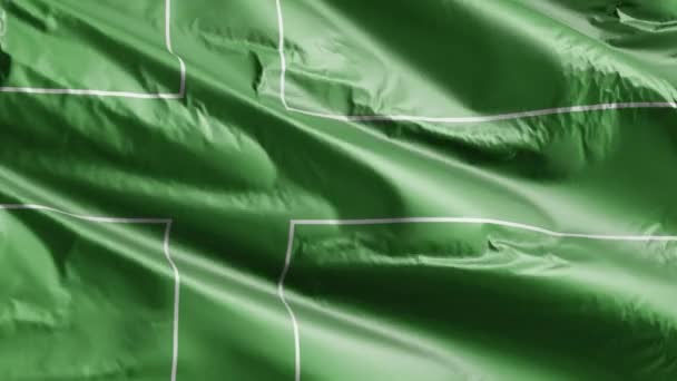 拉多尼亚的国旗在风向上缓缓飘扬 天线的旗帜在微风中平稳地摇曳 完整的背景 20秒回圈 — 图库视频影像