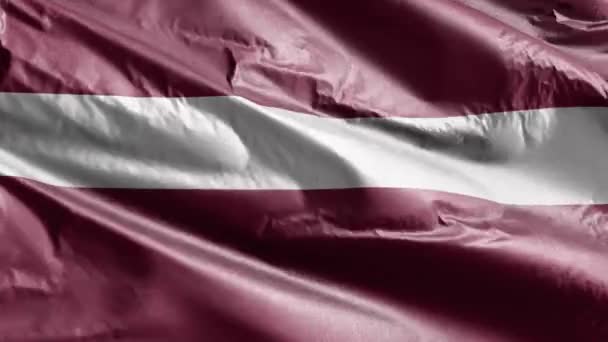 Letonya Tekstil Bayrağı Rüzgarda Sallanıyor Letonya Bayrağı Rüzgarda Sallanıyor Kumaş — Stok video