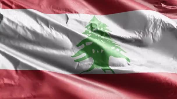 黎巴嫩纺织品国旗在风向上飘扬 黎巴嫩国旗在微风中飘扬 织物织物织物组织 完整的背景 10秒回圈 — 图库视频影像