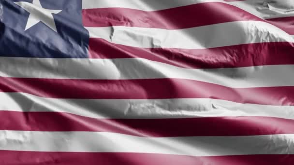 Liberya Bayrağı Rüzgar Döngüsünde Yavaşça Dalgalanıyor Liebersky Afişi Rüzgarda Hafifçe — Stok video