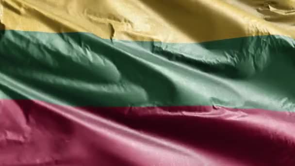 Litvánia Textilzászló Lengett Szélhurkon Litván Zászló Lengett Szélben Textilszövet Teljes — Stock videók