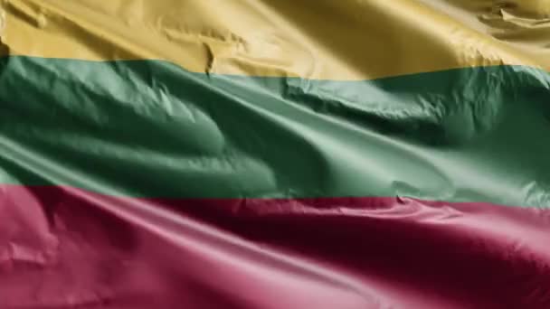 Bandeira Lituânia Acenando Loop Vento Bandeira Lituana Balançando Brisa Fundo — Vídeo de Stock