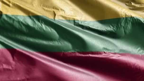 Litvánia Textil Zászló Lassú Lengetése Szél Hurkon Litván Zászló Simán — Stock videók