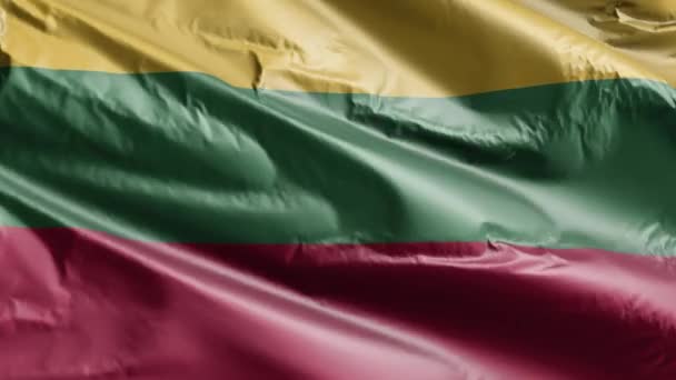 Bandeira Lituânia Acenando Lentamente Loop Vento Bandeira Lituana Balançando Suavemente — Vídeo de Stock