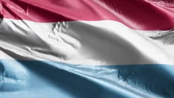 Luxembourg Textile Flag Waving Wind Loop Luxembourgish Banner Swaying Breeze — Stock Video
