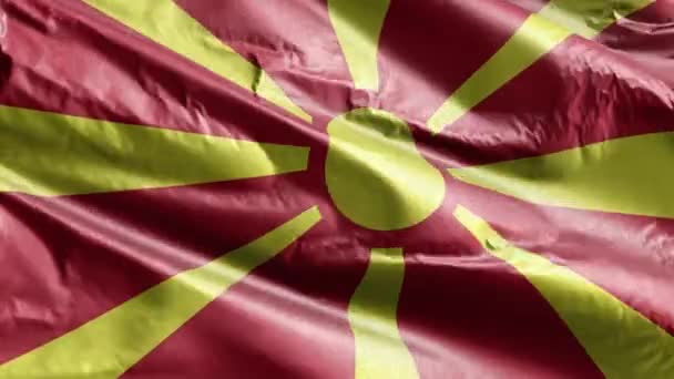 Македонский Текстильный Флаг Размахивающий Петле Ветра Македонское Знамя Раскачивается Ветру — стоковое видео