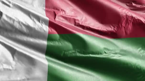 Madagaszkári Textil Zászló Lengett Szél Hurkon Madagaszkári Zászló Lengett Szélben — Stock videók