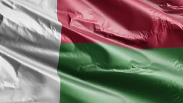 Madagaskar Flagga Vinkar Vindslingan Madagaskar Fana Svajar Vinden Full Fyllning — Stockvideo