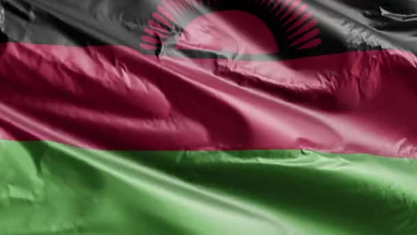Malawi Flag Waving Wind Loop Malawian Banner Swaying Breeze Full — Stock Video