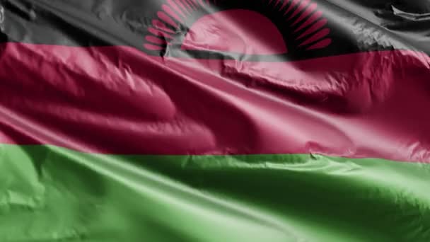 Malawi Bayrağı Rüzgar Döngüsünde Yavaşça Dalgalanıyor Malawian Bayrağı Rüzgarda Sallanıyor — Stok video