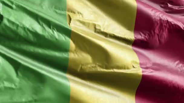 Mali Textilní Vlajka Vlnící Smyčce Větru Malianská Vlajka Pohupovala Větru — Stock video