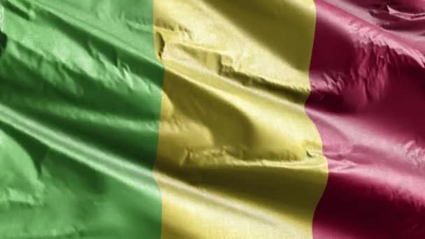 Mali Textiel Vlag Langzaam Zwaaiend Wind Lus Malinese Vlag Die — Stockvideo