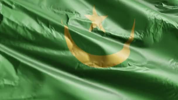 Mauretaniens Flagga Vinkar Vindslingan Mauretaniens Fana Svajar Vinden Full Fyllning — Stockvideo