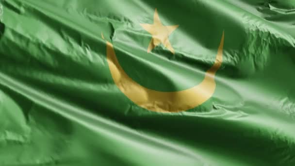 Drapeau Mauritanien Agitant Lentement Boucle Vent Bannière Mauritanienne Balançant Doucement — Video