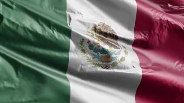 Mexikanska Flaggan Viftar Vindslingan Mexikanska Fanan Svajar Vinden Full Fyllning — Stockvideo