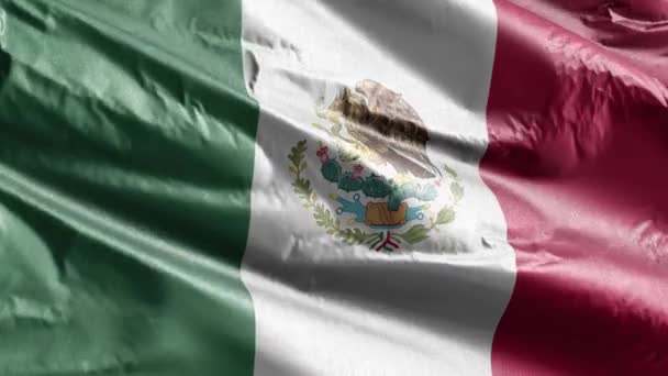 Bandera Textil México Ondeando Lentamente Bucle Del Viento Pancarta Mexicana — Vídeo de stock