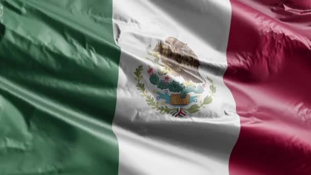 Mexico Vlag Zwaait Langzaam Wind Lus Mexicaanse Spandoek Soepel Zwaaiend — Stockvideo