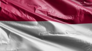 Monako bayrağı rüzgar döngüsünde yavaşça dalgalanıyor. Manastır sancağında hafif bir esinti var. Tam dolgu arkaplanı. 20 saniye döngü. 