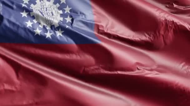 缅甸国旗在风中飘扬 缅甸国旗在微风中飘扬 完整的背景 10秒回圈 — 图库视频影像