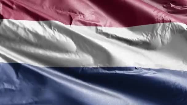 Nederlandse Textielvlag Wapperend Windlus Nederlandse Spandoek Zwaaiend Wind Textielweefsel Volledige — Stockvideo