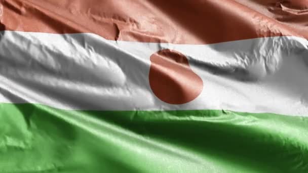 Niger Textil Zászló Lassan Lengetett Szél Hurkot Niger Banner Simán — Stock videók
