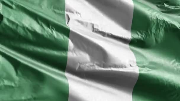風になびくナイジェリアの繊維旗 風に揺れる二連旗 繊維組織だ 完全充填の背景 10秒ループ — ストック動画
