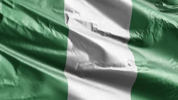 ナイジェリアの繊維旗はゆっくりと風の輪を振っている 風に揺れるNieianバナーをスムーズに 繊維組織だ 完全充填の背景 20秒ループ — ストック動画