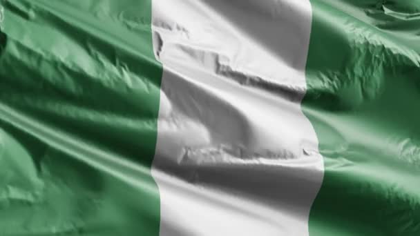 ナイジェリアの国旗はゆっくりと風の輪を振っている 風に揺れるNieianバナーをスムーズに 完全充填の背景 20秒ループ — ストック動画