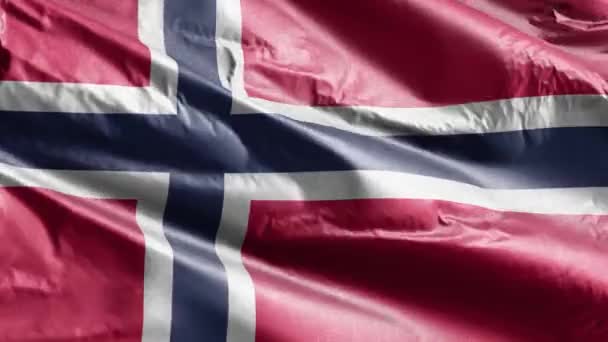 Bandera Textil Noruega Ondeando Bucle Del Viento Bandera Noruega Balanceándose — Vídeo de stock