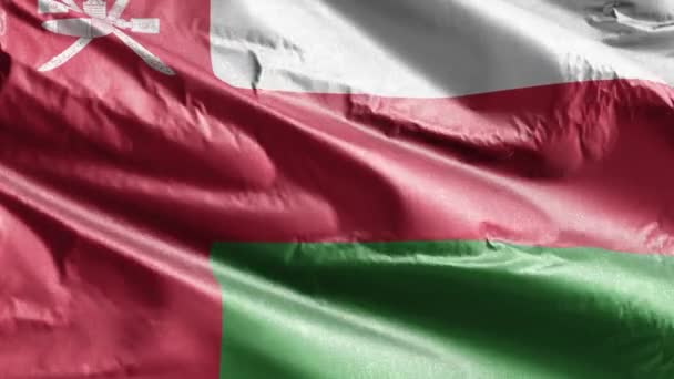 Bandeira Têxtil Omã Acenando Lentamente Circuito Vento Banner Omani Balançando — Vídeo de Stock