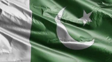 Pakistan bayrağı rüzgarda dalgalanıyor. Palauan bayrağı rüzgarda sallanıyor. Tam dolgu arkaplanı. 10 saniye döngü. 
