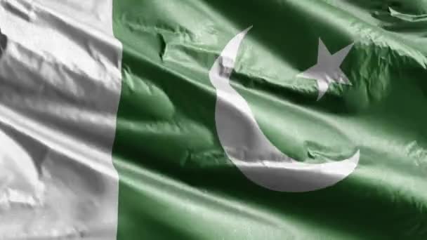 Пакистанский Текстильный Флаг Размахивающий Петле Ветра Палауанское Знамя Раскачивается Ветру — стоковое видео