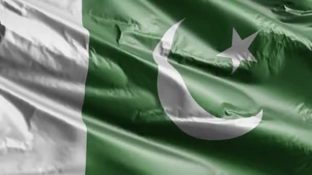 Пакистанский Флаг Размахивающий Петле Ветра Палауанское Знамя Раскачивается Ветру Полный — стоковое видео