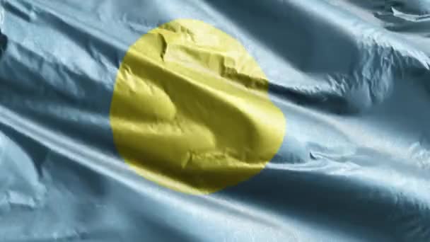 Текстильный Флаг Палау Размахивает Петле Ветра Палауанское Знамя Раскачивается Ветру — стоковое видео