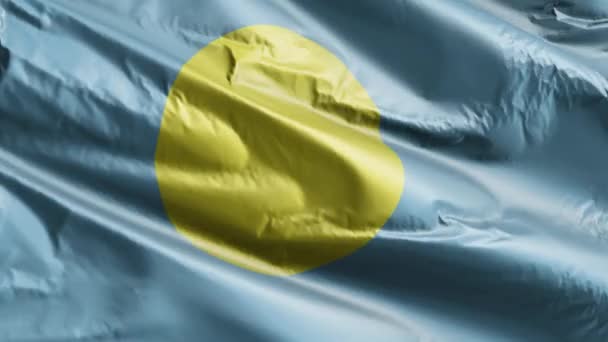 Флаг Палау Медленно Махал Петле Ветра Палауанское Знамя Плавно Раскачивается — стоковое видео