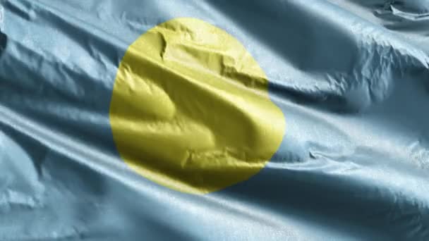 Текстильный Флаг Палау Медленно Махал Петле Ветра Палауанское Знамя Плавно — стоковое видео