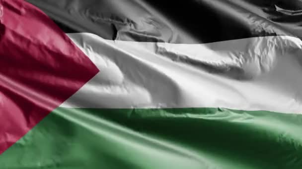 Palestine Flag Waving Wind Loop Palestinian Banner Swaying Breeze Full — Stock Video