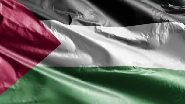 Palestina Bandiera Tessile Sventola Sul Ciclo Del Vento Bandiera Palestinese — Video Stock