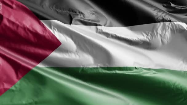 Bandiera Palestinese Sventola Lenta Sul Cappio Del Vento Bandiera Palestinese — Video Stock