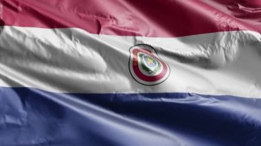 Paraguay bayrağı rüzgarda yavaşça dalgalanıyor. Paraguay bayrağı rüzgarda sallanıyor. Tam dolgu arkaplanı. 20 saniye döngü. 
