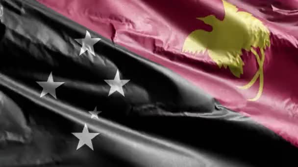 Die Textilfahne Papua Neuguineas Weht Auf Der Windschleife Das Banner — Stockvideo