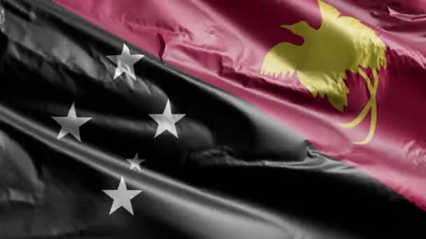 Papua Neuguinea Flagge Weht Auf Der Windschleife Das Banner Papua — Stockvideo