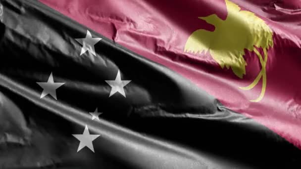 Bendera Tekstil Papua Nugini Melambaikan Tangan Pada Lingkaran Angin Papua — Stok Video
