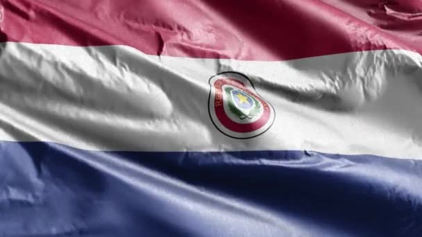 Paraguay Textil Flagga Långsam Vinka Vindslingan Paraguayas Fana Svajar Lätt — Stockvideo