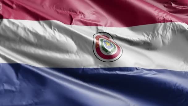 パラグアイの国旗はゆっくりと風の輪を振っている パラグアイのバナーをスムーズに風に揺れる 完全充填の背景 20秒ループ — ストック動画